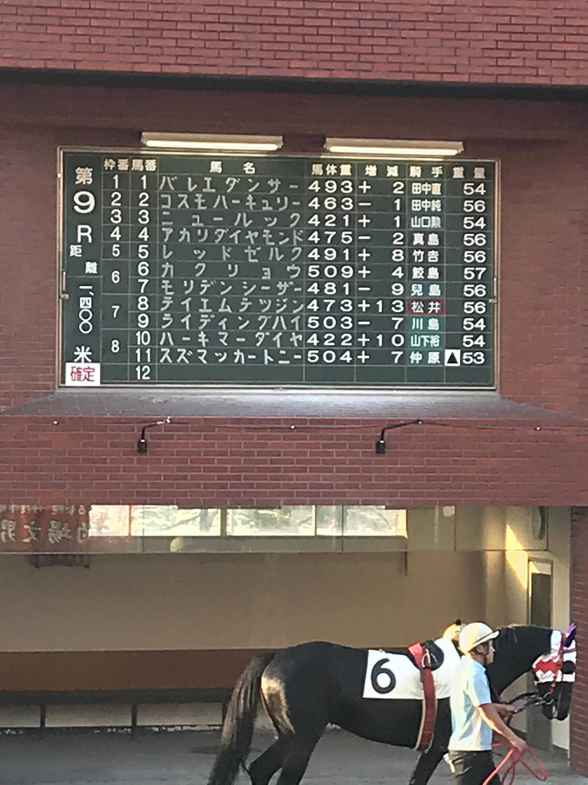 佐賀競馬場の代表写真5