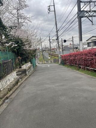 千代田区立千代田図書館のクチコミ写真1