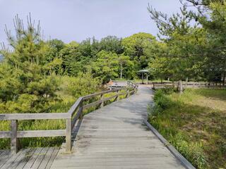 兵庫県立 甲山森林公園のクチコミ写真2