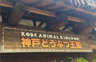 神戸どうぶつ王国のクチコミ写真1