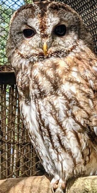 大宮公園小動物園のクチコミ写真1