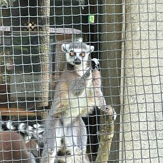 仙台みそ料理と個室和食 新古々がみそ 仙台駅前の写真23