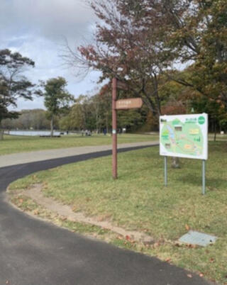 緑ケ丘公園(苫小牧市)のクチコミ写真1