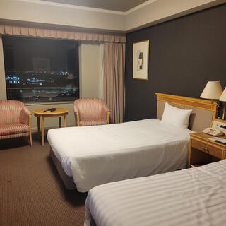 ホテル アゴーラ リージェンシー 大阪堺の写真15