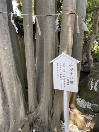 検見川神社のクチコミ写真7
