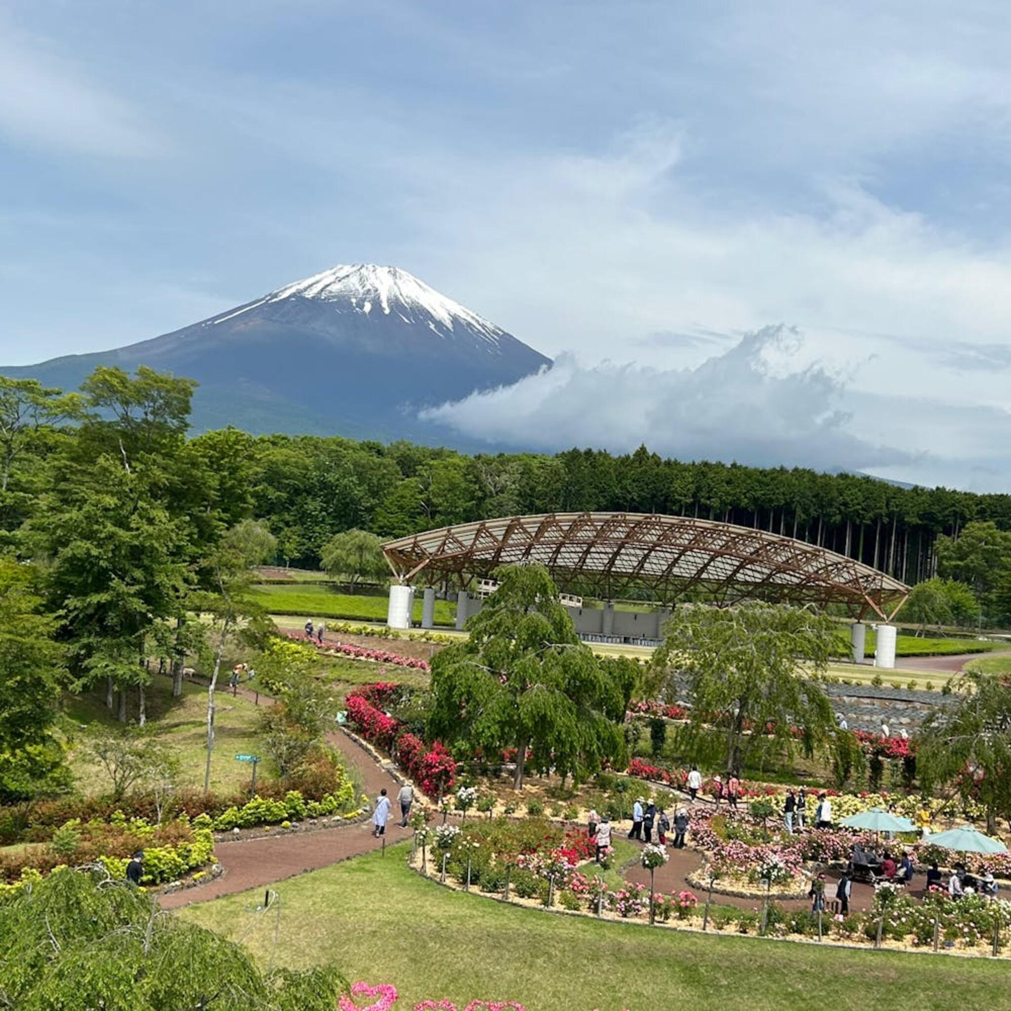 富士山樹空の森の代表写真4