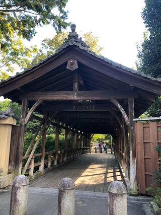 東福寺通天橋のクチコミ写真1