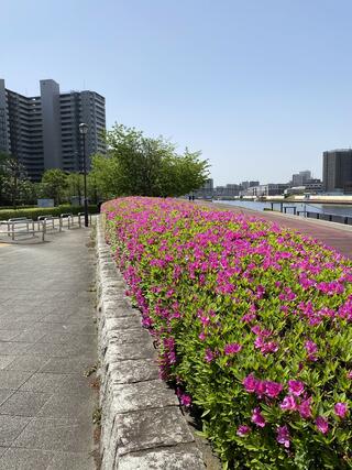 汐入公園のクチコミ写真1