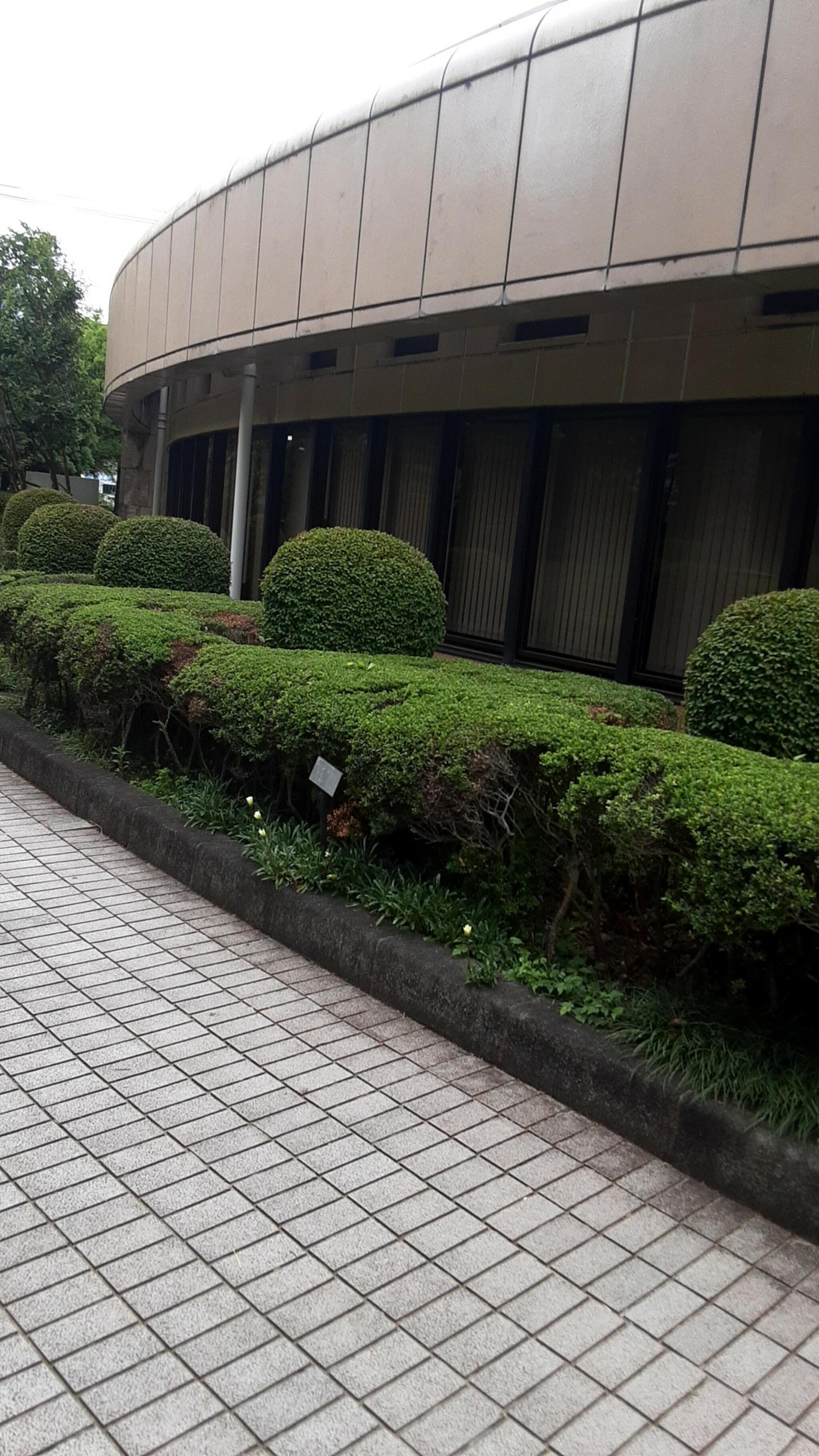 秦野市立はだの歴史博物館の代表写真1