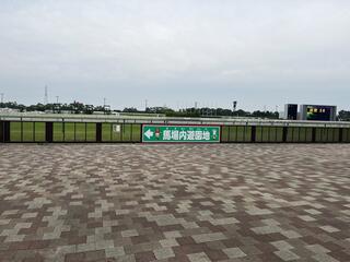JRA 中京競馬場のクチコミ写真2