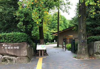 赤塚植物園のクチコミ写真1