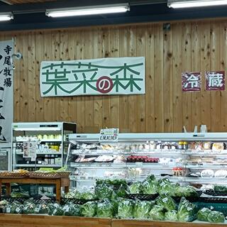 葉菜の森(関西広域連合域内直売所)の写真10
