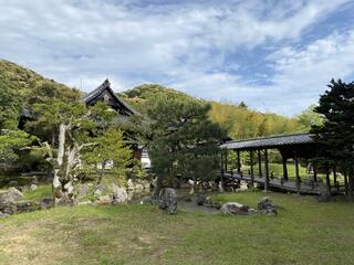 鷲峰山高台寺のクチコミ写真1