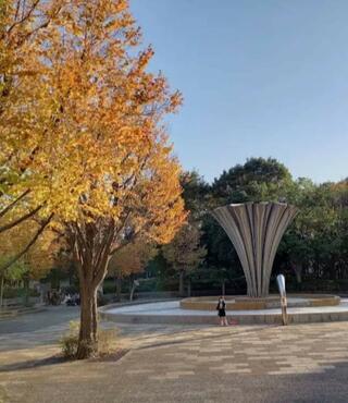 赤塚公園のクチコミ写真1