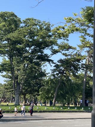 岡崎公園のクチコミ写真1