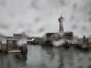博多港のクチコミ写真1
