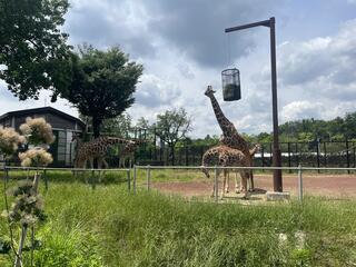 こども動物自然公園のクチコミ写真3