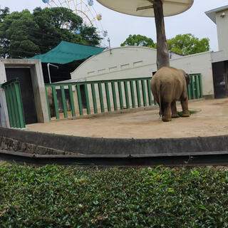 神戸市立王子動物園の写真24