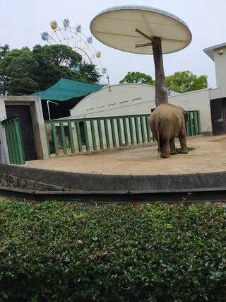 神戸市立王子動物園のクチコミ写真1