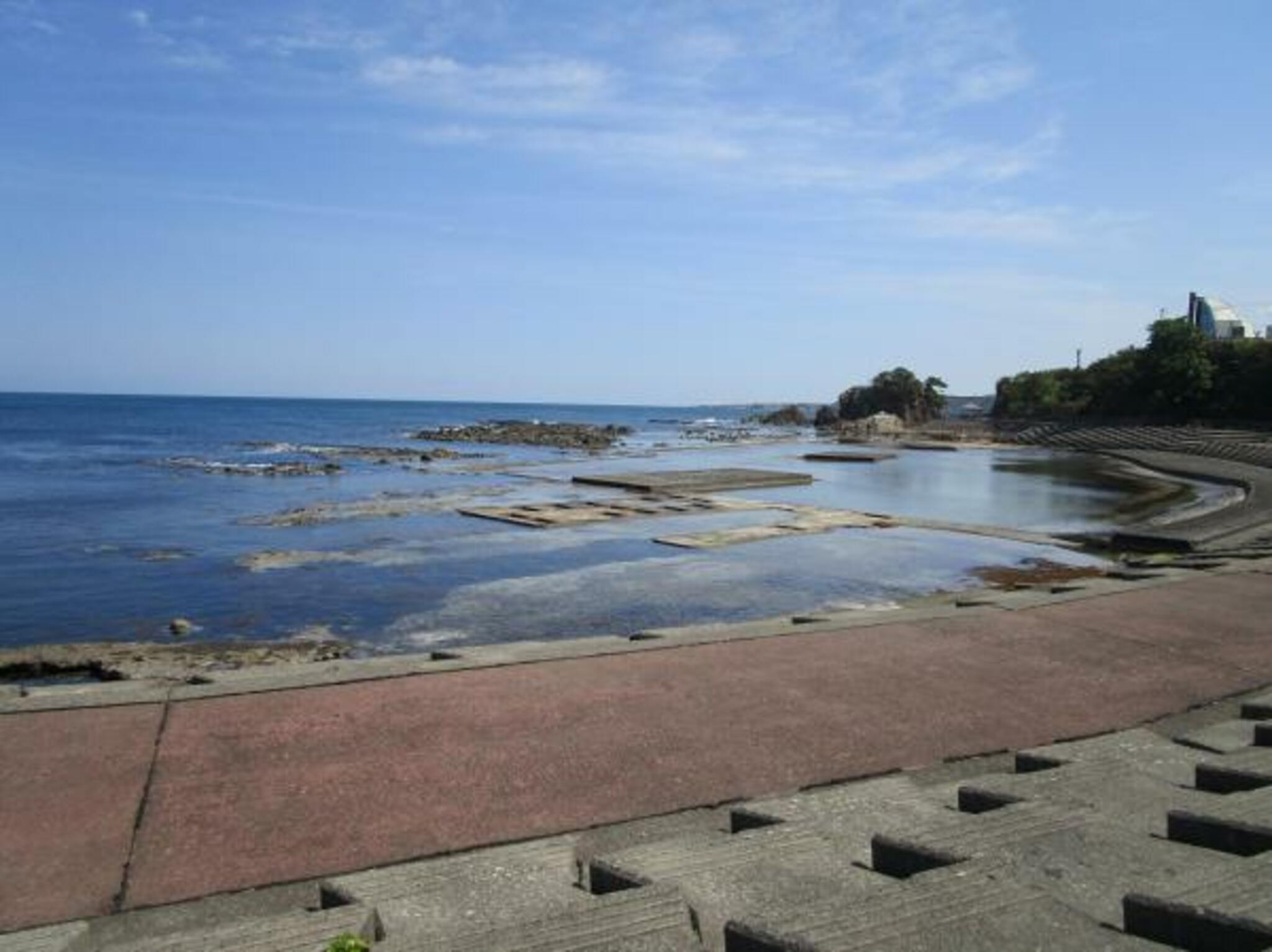 岡崎天然海水プールの代表写真1