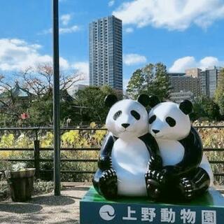 東京都恩賜上野動物園の写真25