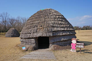 鹿児島県上野原縄文の森のクチコミ写真1