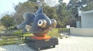 金魚と鯉の郷広場のクチコミ写真3