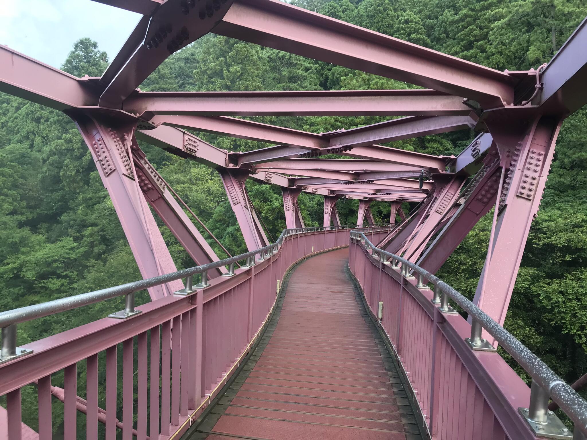 こおろぎ橋の代表写真8