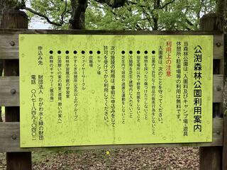 香川県公渕森林公園のクチコミ写真2