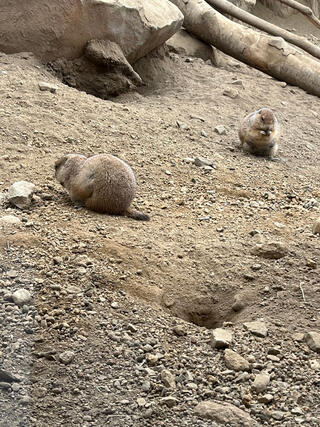 那須どうぶつ王国のクチコミ写真1