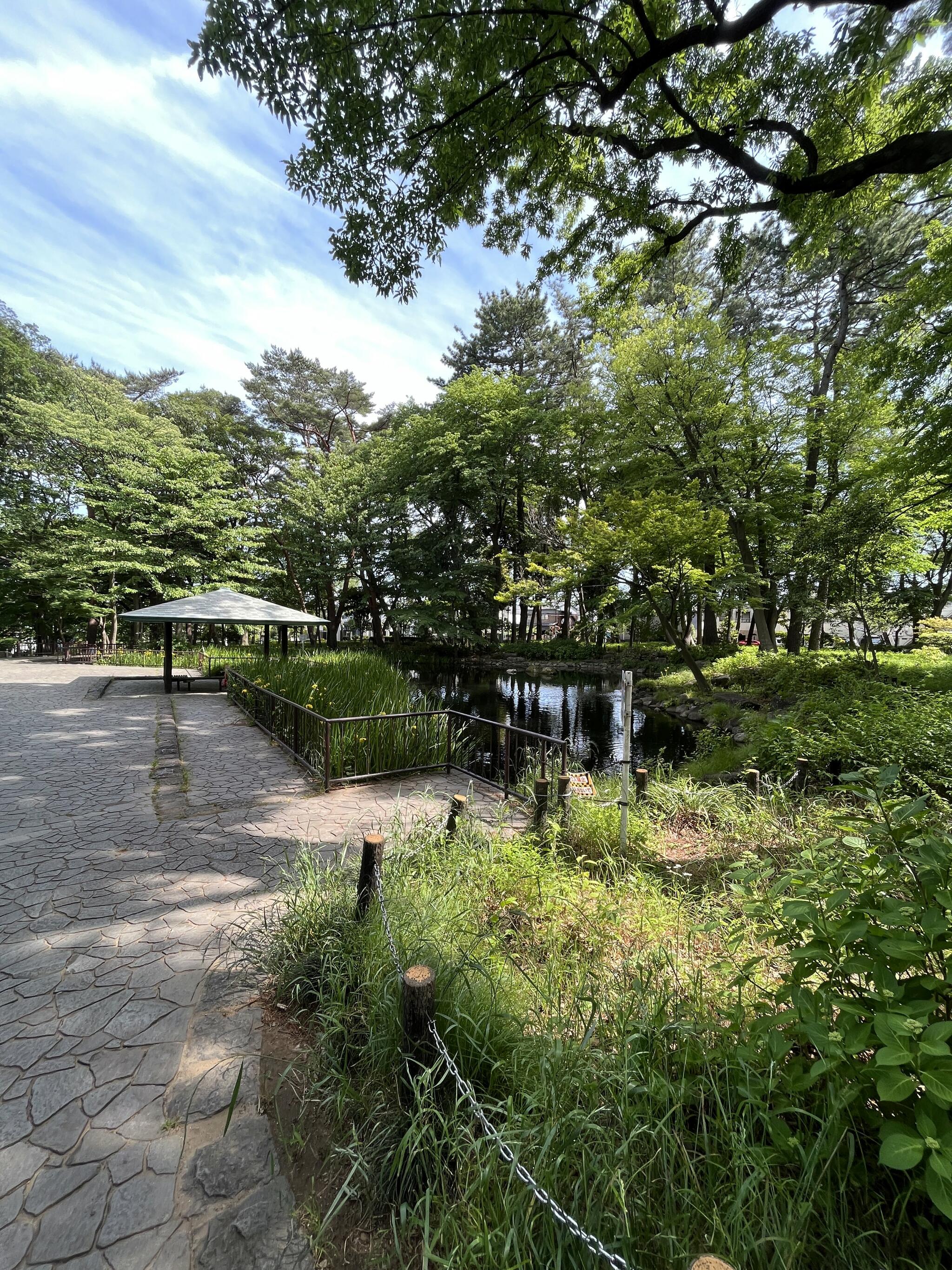 塚山公園 ふれあい広場の代表写真5