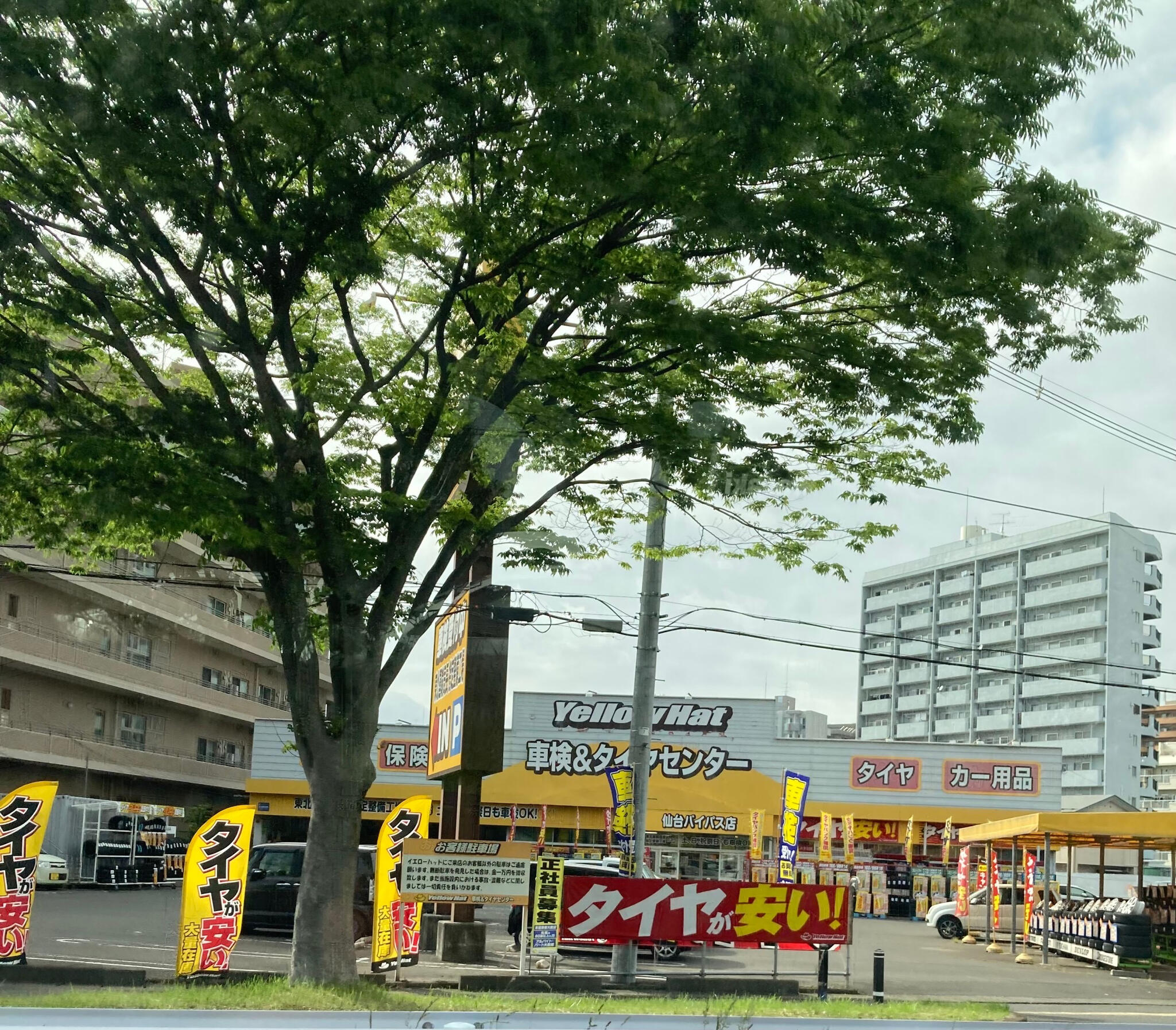 イエローハット 仙台バイパス店 車検＆タイヤセンターの代表写真3