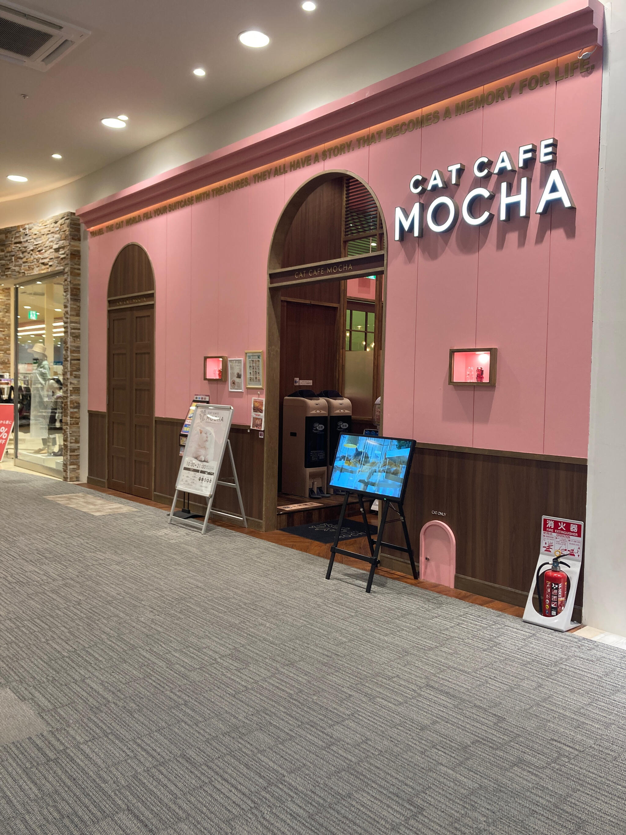 猫カフェ MOCHA イオンモール大日店の代表写真6