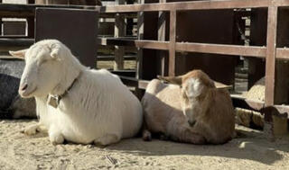 宇都宮動物園のクチコミ写真1