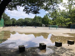 蚕糸の森公園のクチコミ写真1