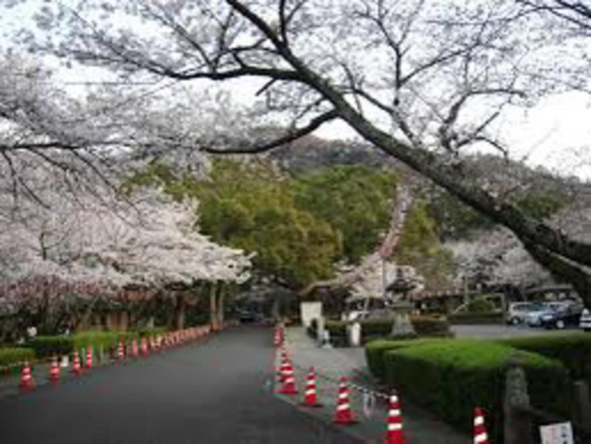 西部公園の代表写真10