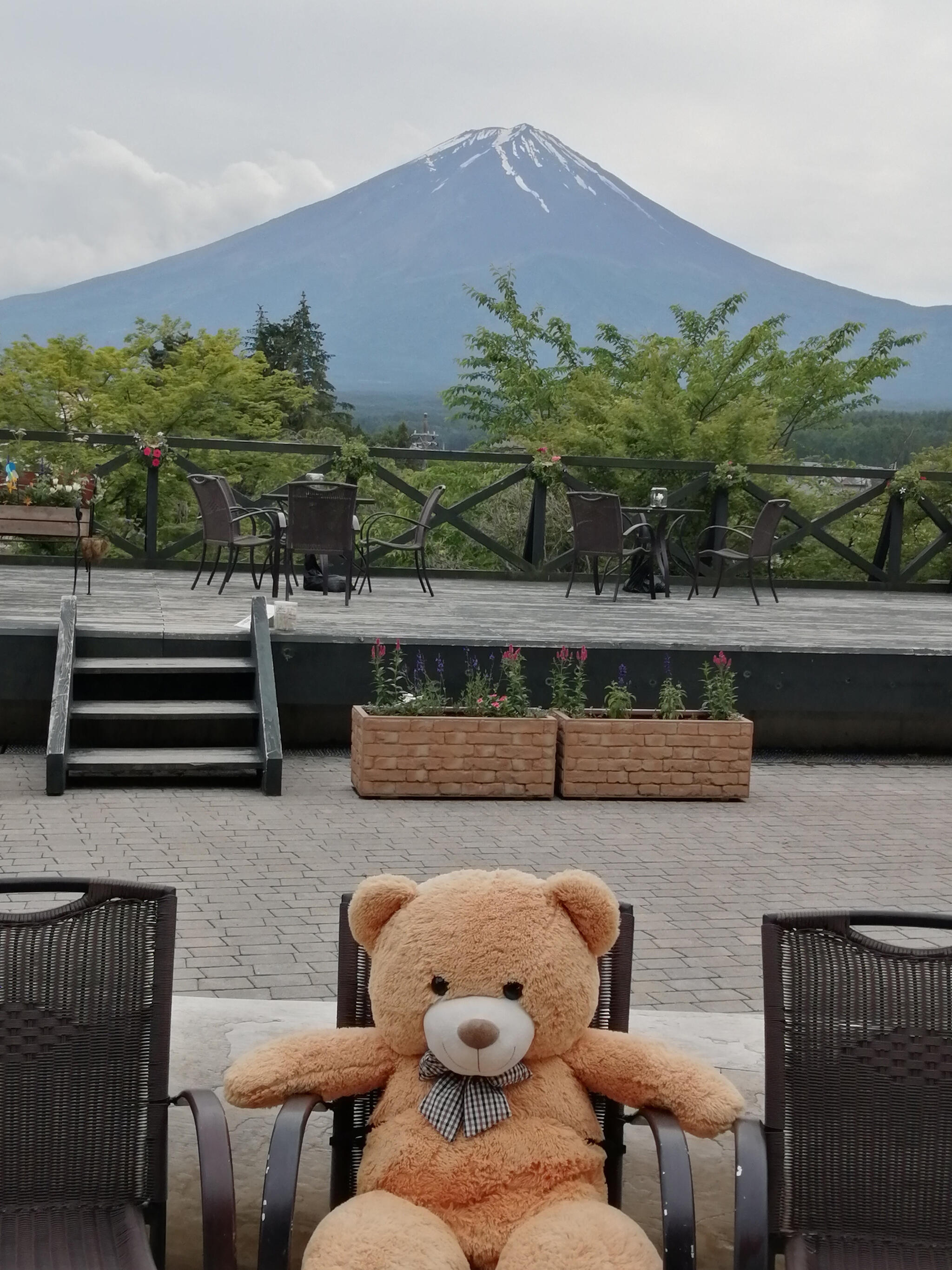 ハーブ庭園旅日記・富士河口湖庭園の代表写真6