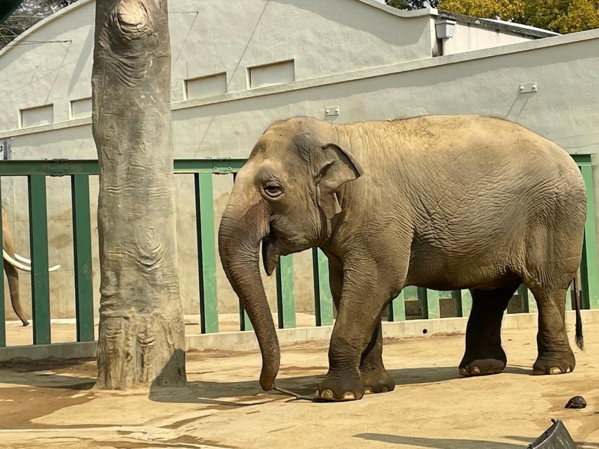 神戸市立王子動物園の代表写真1