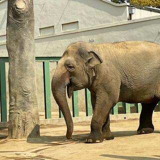 神戸市立王子動物園の写真1