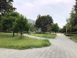 扇町公園のクチコミ写真2