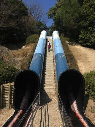 山城総合運動公園のクチコミ写真1