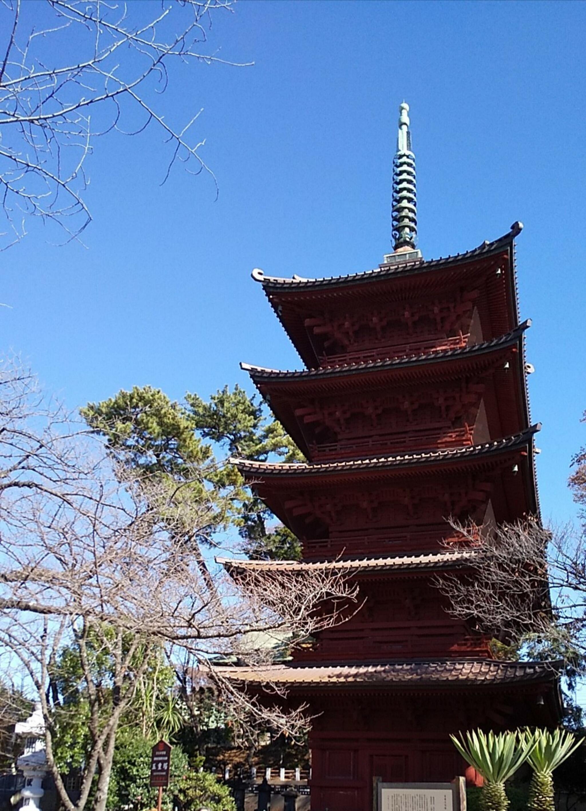 大本山 中山 法華経寺の代表写真5