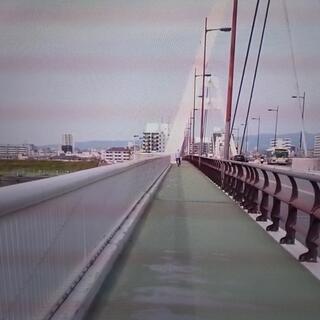 豊里大橋の写真2