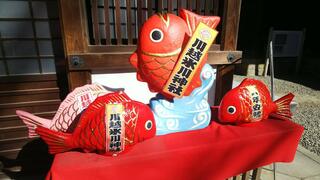 川越氷川神社のクチコミ写真1