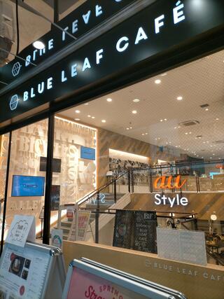 BLUE LEAF CAFÉ 京都のクチコミ写真1