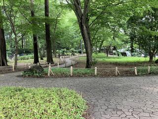 神代植物公園のクチコミ写真2