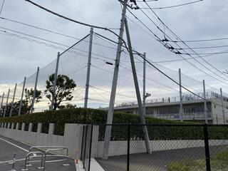 日出学園小学校のクチコミ写真1