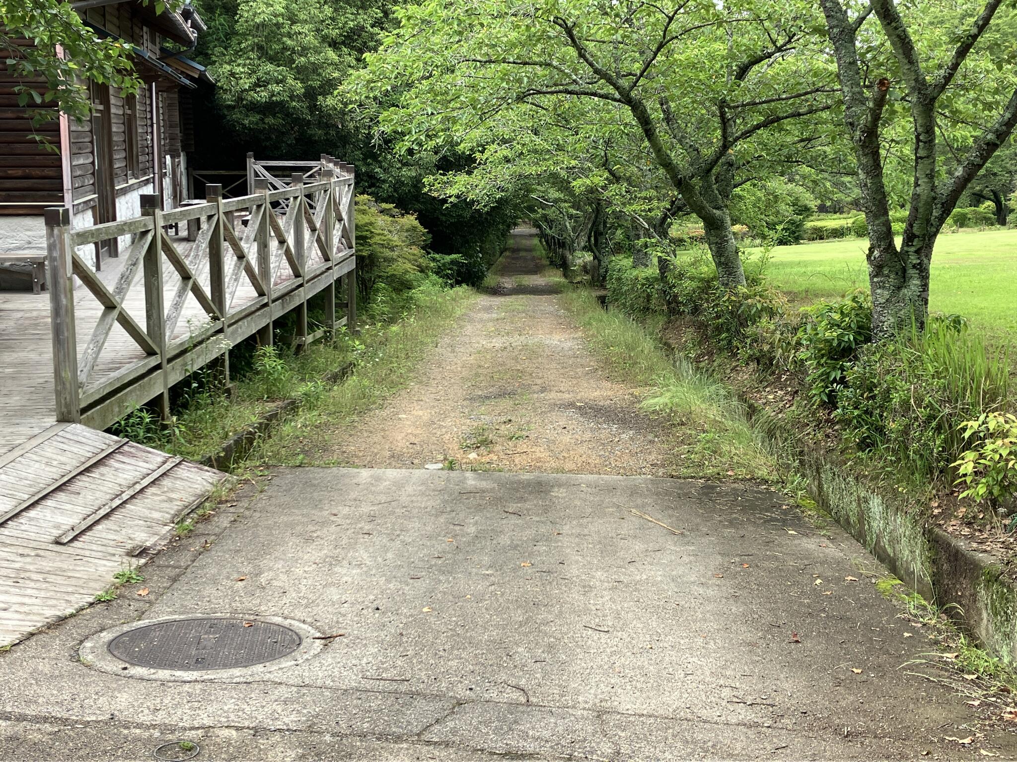 香川県公渕森林公園の代表写真3