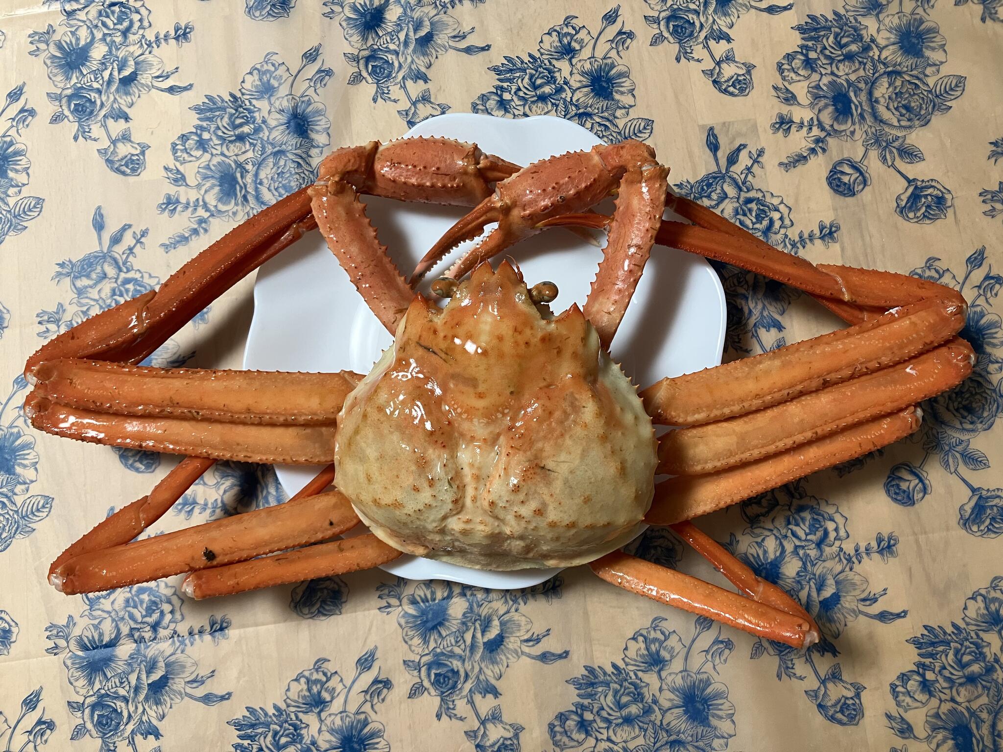 角上魚類 小平店の代表写真2