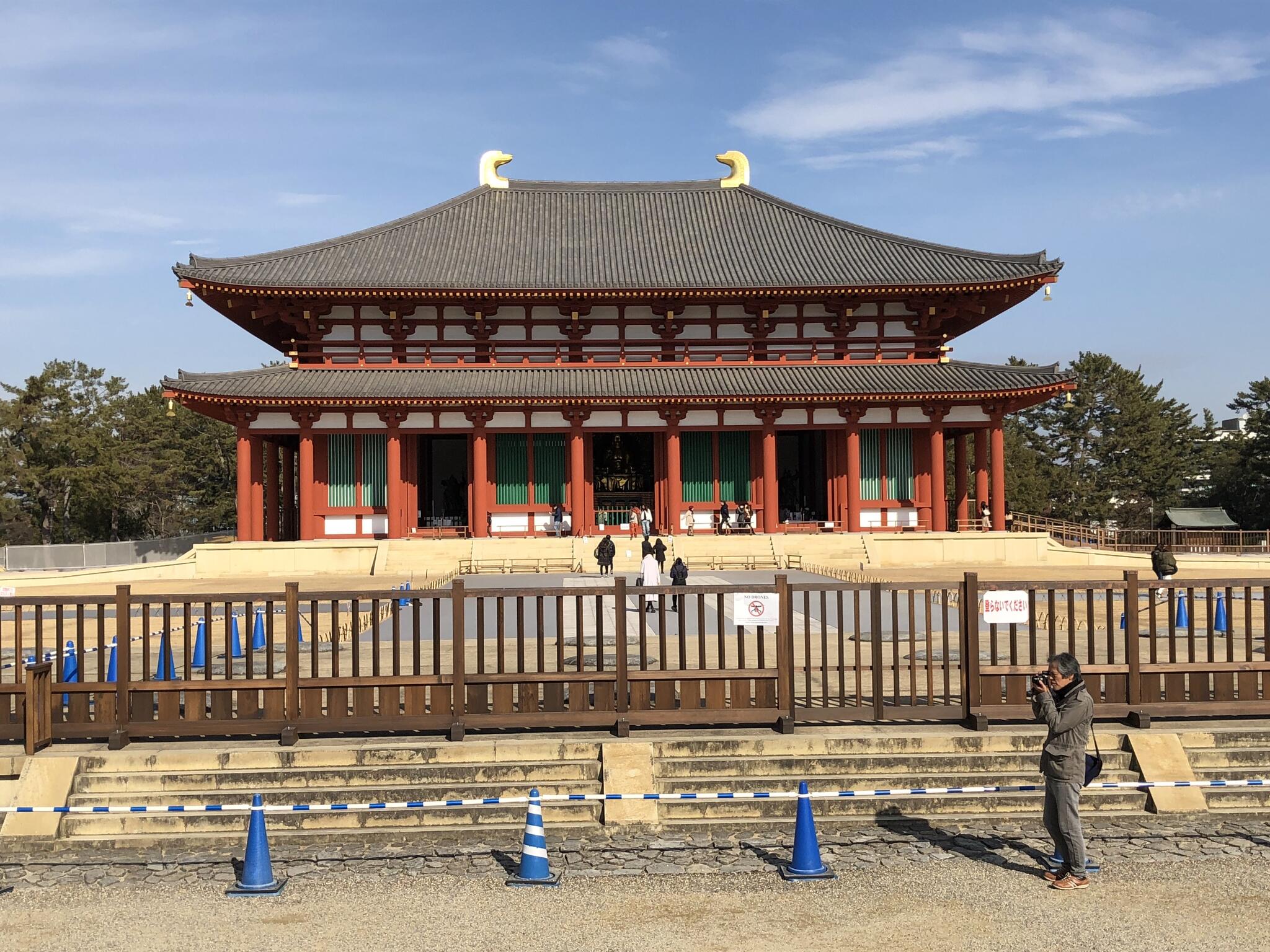 興福寺中金堂の代表写真8